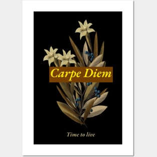 carpe diem Posters and Art